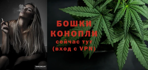дурь Арсеньев
