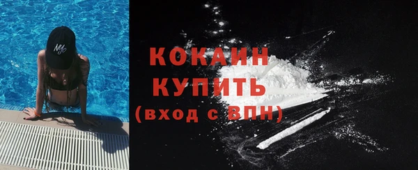 дурь Арсеньев