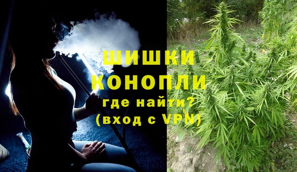 дурь Арсеньев