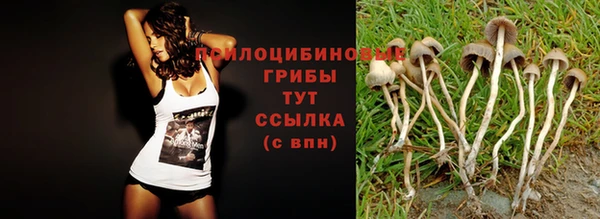 дурь Арсеньев